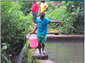 group of kids fetching water