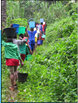 group of kids fetching water